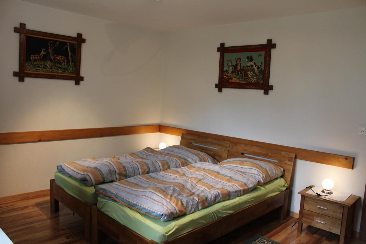 Haus Weideli, Dammstrasse 7 Villa Saas-Grund Dış mekan fotoğraf